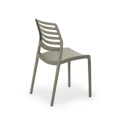 101010970 medium (1)