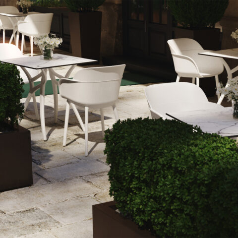 Shell P Ivy Wideangle