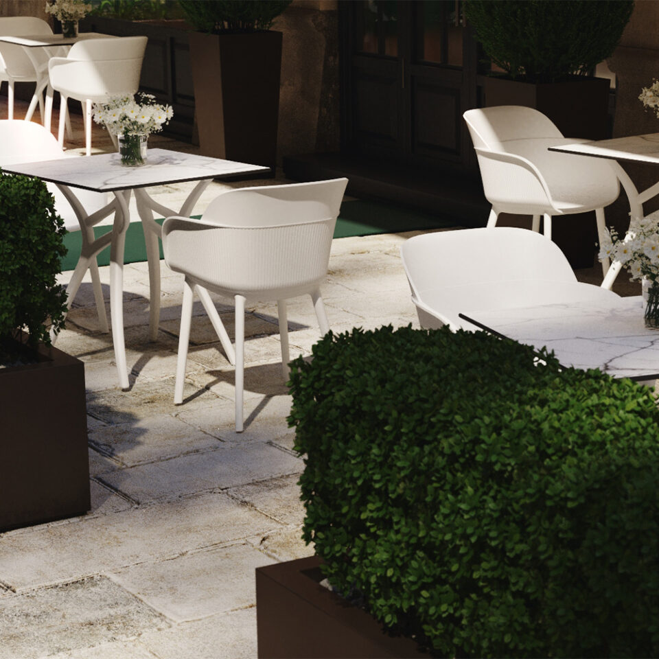 Shell P Ivy Wideangle