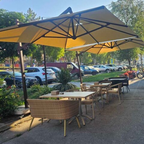 Untitled design (24)