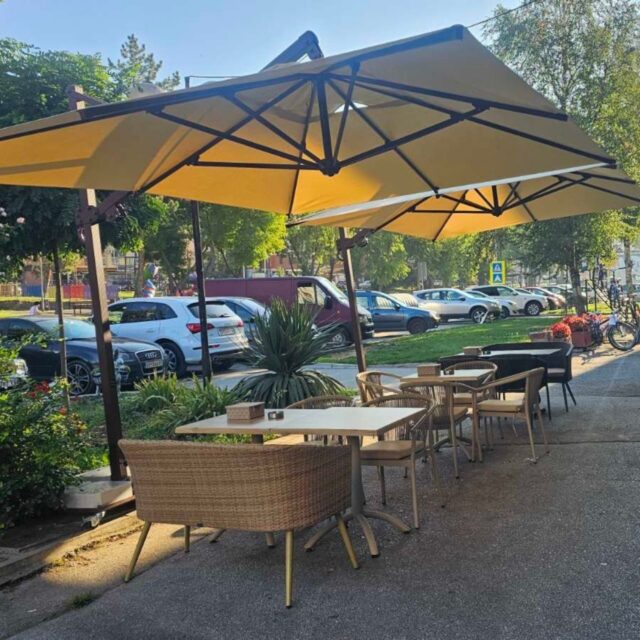 Untitled design (24)