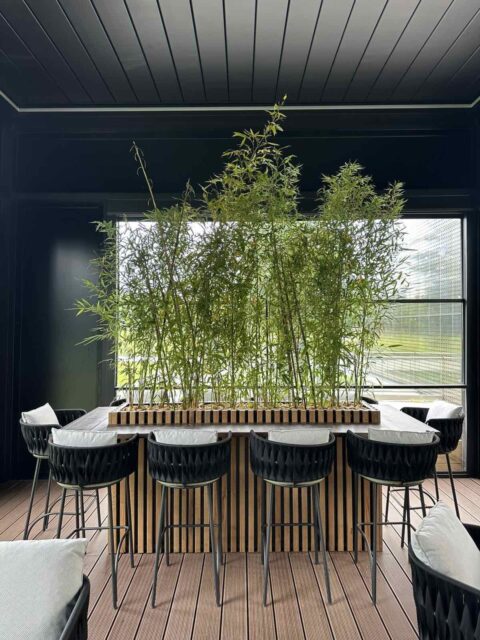 Whatsapp image 2025 08 04 at 09.50.31 7d8c8f8f