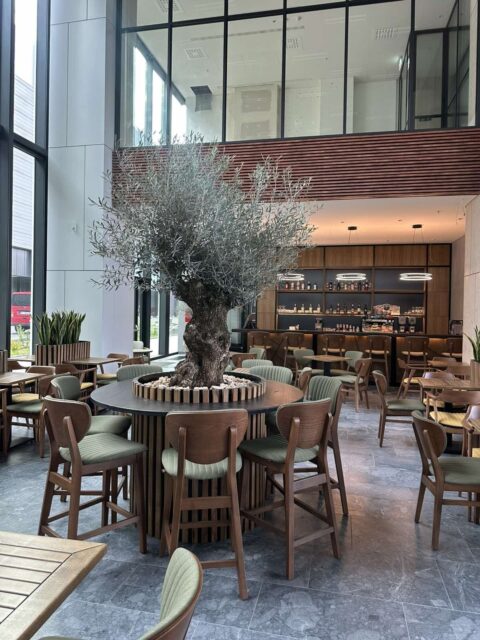 Whatsapp image 2025 08 04 at 09.50.32 3ea7ced5