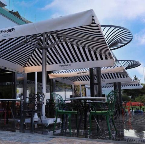 WhatsApp slika 2024 11 02 u 08.42.45 8bcd74d6