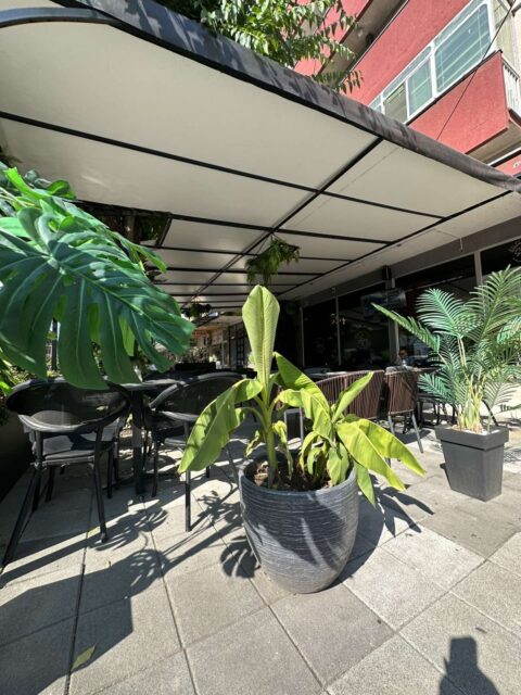 Viber image 2025 09 09 08 26 38 313