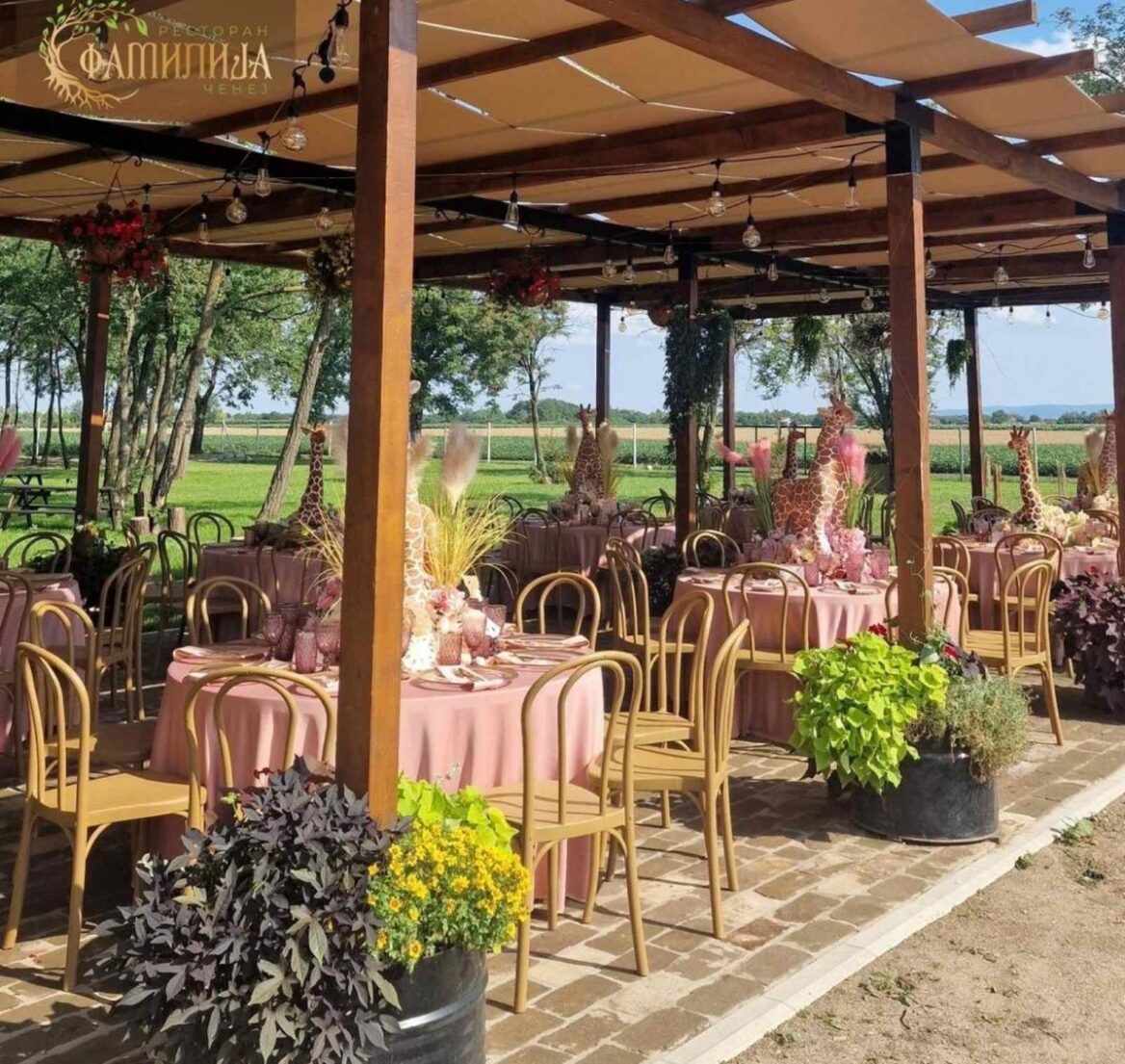 Viber slika 2024 10 22 12 05 50