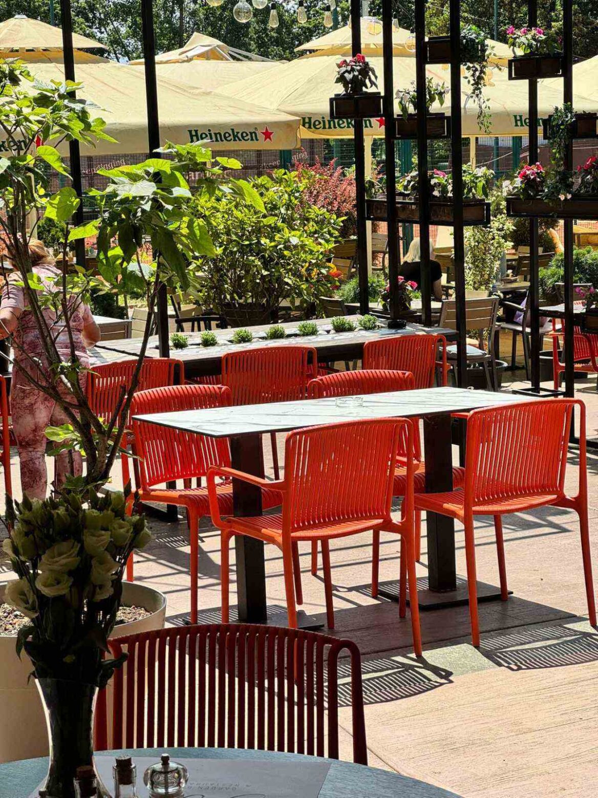 Viber slika 2024 10 22 12 45 31