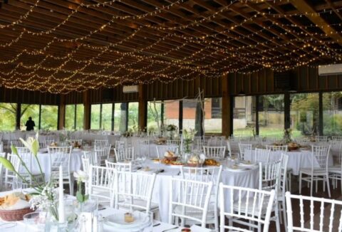 Viber Slika 2024 11 23 10 12 48 791